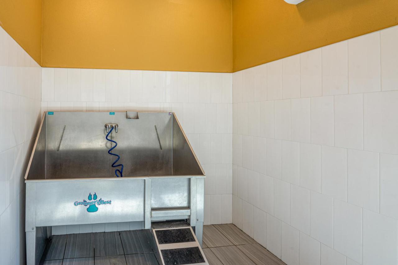 Luxe 3B/2B Getaway - Pool, Gym, Parking, Pet Wash Apartment Leander Екстериор снимка